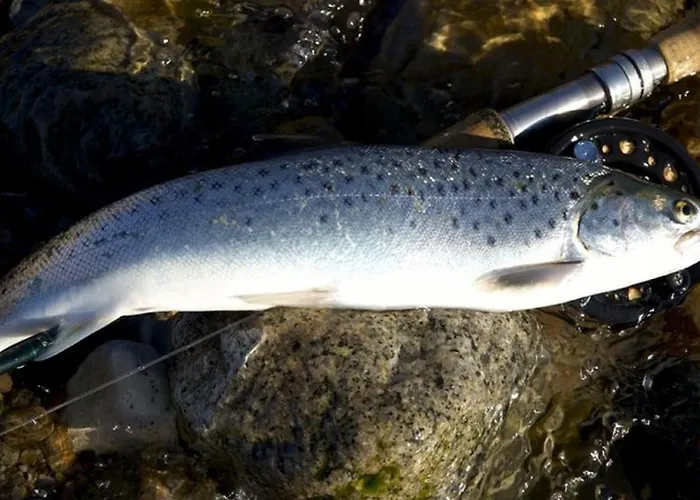 In Scenic Lango * Martofte